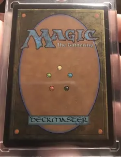 Rhystic Study (Anime Borderless) Wilds of Eldraine: Enchanting Tales Foil MTG - Image 2