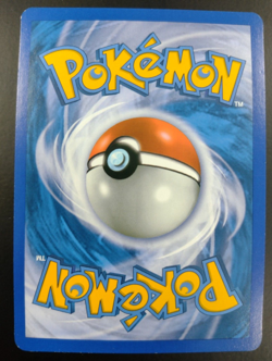 Suicune SL11 - Call of Legends - Secret Rare Holo - Pokemon Card Near Mint - Image 2