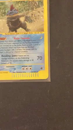 Feraligatr Holo Rare 12/165 Expedition Base Set (2002) Pokemon Card - Image 5