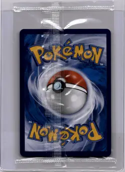 Jolteon VMAX 008/009 csHC Simplified Chinese Pokemon TCG SEALED US Seller - Image 2