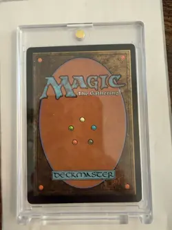 Rhystic Study (Anime Borderless) Wilds of Eldraine: Enchanting Tales Foil - Image 2