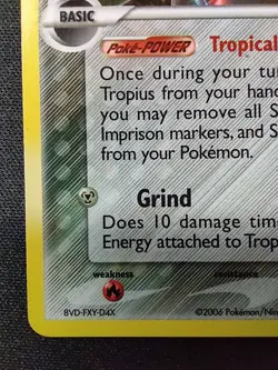 Tropius Delta Species 23/101 Pokemon TCG Dragon Frontiers Reverse Holo Stamped - Image 5