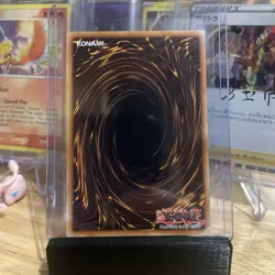 Dark Magician LC01-EN005 Yu-Gi-Oh Legendary Collection 1 Limited Edition - Image 2