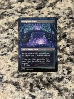Overgrown Tomb (Borderless) Lorwyn Eclipsed Regular - Image 2