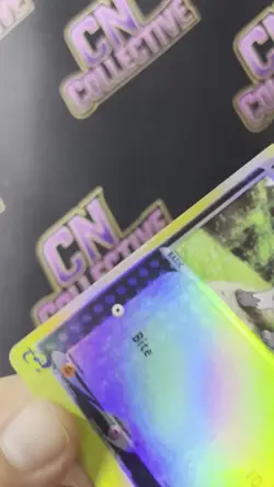 Pokemon Poochyena Reverse Holo 63/109 EX Ruby & Sapphire - Image 2