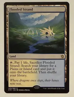 Flooded Strand - Dragons of Tarkir MTG Magic the Gathering - Image 1