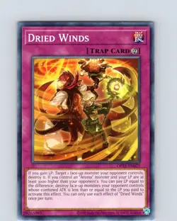 Yu-Gi-Oh TCG Dried Winds OP25-EN025 Unlimited Regular Common Card NM - Image 1