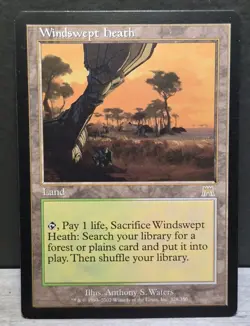 Magic the Gathering Windswept Heath Onslaught Mtg - Image 1