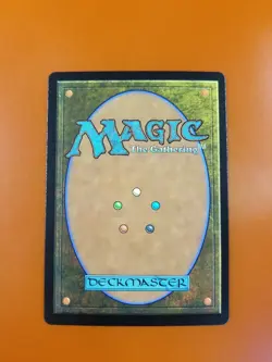 1x Warlock Class | FOIL | Forgotten Realms | MTG Magic Cards - Image 2