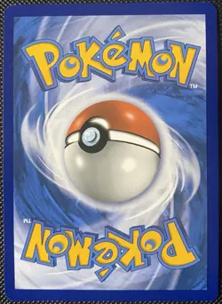 Paldean Clodsire ex 244/193 Sv02: Paldea Evolved Holo - Pokemon Card - Image 2