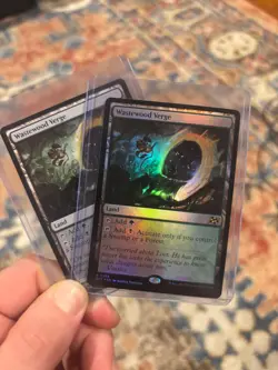 2X Wastewood Verge MTG Aetherdrift Regular and Foil - Image 1
