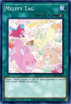 Melffy Tag - ROTD-EN056 - Common - 1st Edition - Lightly Played - Image 1