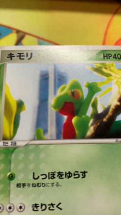 Treecko 037/PCG-P Pokemon Center Yokohama Promo 2005 Japanese Pokemon Card #2455 - Image 2