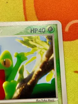 Treecko 037/PCG-P Pokemon Center Yokohama Promo 2005 Japanese Pokemon Card #2455 - Image 4