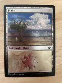 1x Plains [FOIL ETCHED] (481) - Modern Horizons 2(MH2) - Magic the Gathering MTG - Image 1