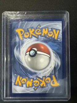Mega Sharpedo ex - 061/094 - Double Rare - Phantasmal Flames - Pokemon - NM/M - Image 2