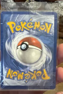 SEALED Pokemon Koraidon SVP 014 Scarlet & Violet ETB Holo Black Star Promo - Image 2