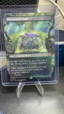 Overgrown Tomb (Borderless) Lorwyn Eclipsed Regular - Image 1