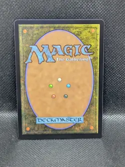The Shire (NM) #345 - Borderless - Magic the Gathering The Lord of the Rings MTG - Image 2