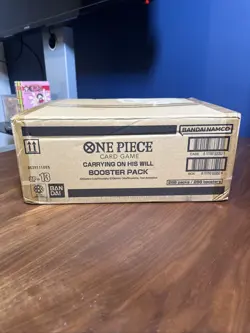 One Piece TCG Sealed Case 12x Booster Box OP13 OP-13 - ENG ENGLISH carrying - Image 5
