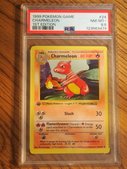 Pokemon 1999 1st Edition Shadowless Base Charmeleon uncommon card, PSA 8.5 - Image 1