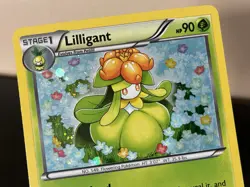 Pokemon Black and White Promos Black Star Promo,Holo Lilligant #BW49 LP - Image 4