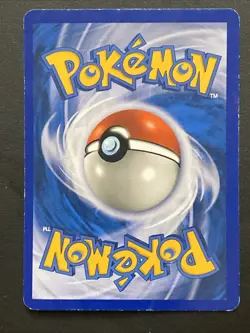 RAIKOU 16/132 Secret Wonders INSANE HOLO Swirl Bleed Pokemon TCG Card VLP/NM - Image 4