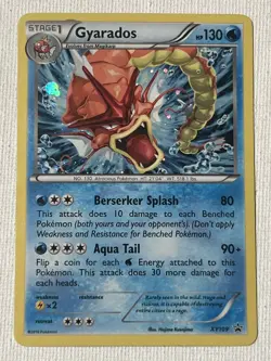 Gyarados XY109 - XY Promos (PR) Pokemon Card - NM - Image 1