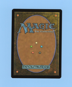 Scytheclaw Raptor (Borderless) The Lost Caverns of Ixalan Regular - Image 2