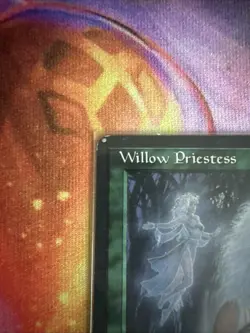 Willow Priestess (MP) Homelands Magic MTG - Image 2