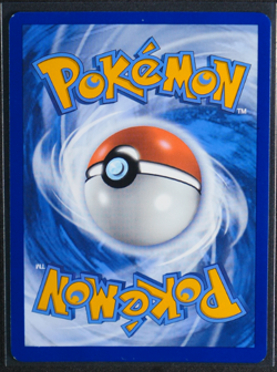 Team Rocket's Wobbuffet Holo Promo #203 SV: Scarlet & Violet Promo Cards NM - Image 2