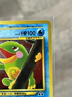 Politoed # 186 Crossing the Ruins Holo Japanese Card Pokemon TCG NM - Image 3