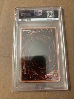 YuGiOh Blue Eyes Toon Dragon 2015 1st Edition Duelist Pack Battle City PSA 8 - Image 4