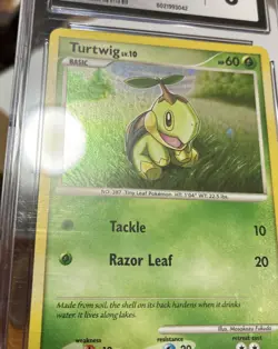 CGC 8 Turtwig Holo DP01 Black Star Promo Diamond & Pearl 2007 Pokemon Card Swirl - Image 3