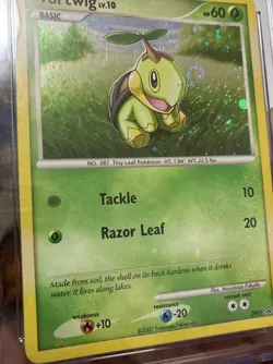 CGC 8 Turtwig Holo DP01 Black Star Promo Diamond & Pearl 2007 Pokemon Card Swirl - Image 4