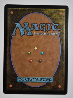 Magic MTG Final Fantasy Traveling Chocobo Borderless Mythic Rare NM Non Foil 406 - Image 2