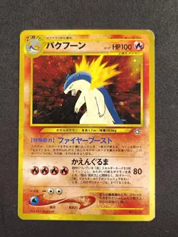 Neo Premium File Typhlosion No.157 (Japanese/MP/Pokemon) - Image 1