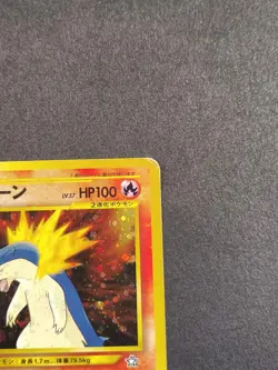 Neo Premium File Typhlosion No.157 (Japanese/MP/Pokemon) - Image 2