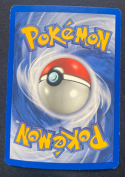 Mudkip 018 Black Star Promo Holo Pokemon Card TCG MP - Image 2