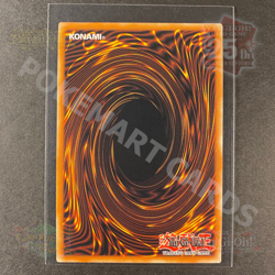 Yugioh Dark Paladin RA03-EN126 Platinum Secret Rare 1st Edition NM - Image 5