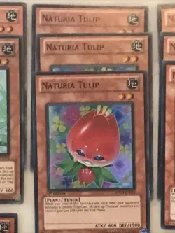 Yu-Gi-Oh! “NATURIA CARDS”Supers,Ultras,Secrets + Duel Terminals Lot Of 80 (P176) - Image 3