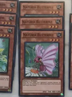 Yu-Gi-Oh! “NATURIA CARDS”Supers,Ultras,Secrets + Duel Terminals Lot Of 80 (P176) - Image 5