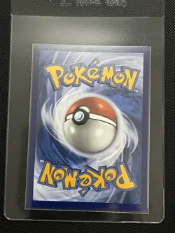 Blood Moon Ursaluna EX 141/167 Holo Ultra Rare Twilight Masquerade Pokemon TCG - Image 2