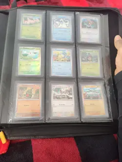Pokemon TCG PokeBall & Masterball Halo Stamped Mixed Lot - Image 1