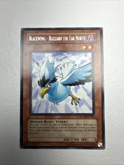 Blackwing Blizzard the Far North [RGBT-EN010] Rare Unlimited Ed. LP-MP Yugioh - Image 1