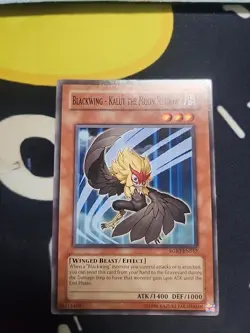 Blackwing - Kalut the Moon Shadow 1st edition RGBT-EN012 Common NM Yu-Gi-Oh - Image 1
