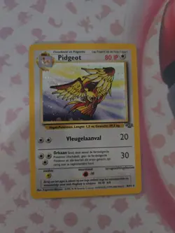 Pidgeot Pokemon TCG Jungle Set Holo Portuguese Language 8/64 - Image 1
