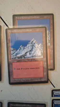 Magic The Gathering Lot of 29 Specialized Lands! Snow Covered, Wastes & More! - Image 5