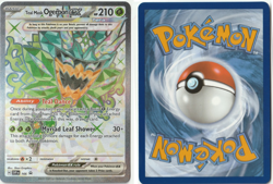 Teal Mask Ogerpon ex 166 Promo Scarlet & Violet Pokemon NM - Image 1