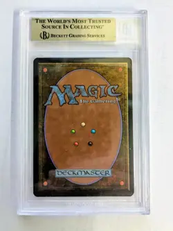 MTG REVISED RARE 1994 Royal Assassin BGS GRADE 9.5 - Image 2